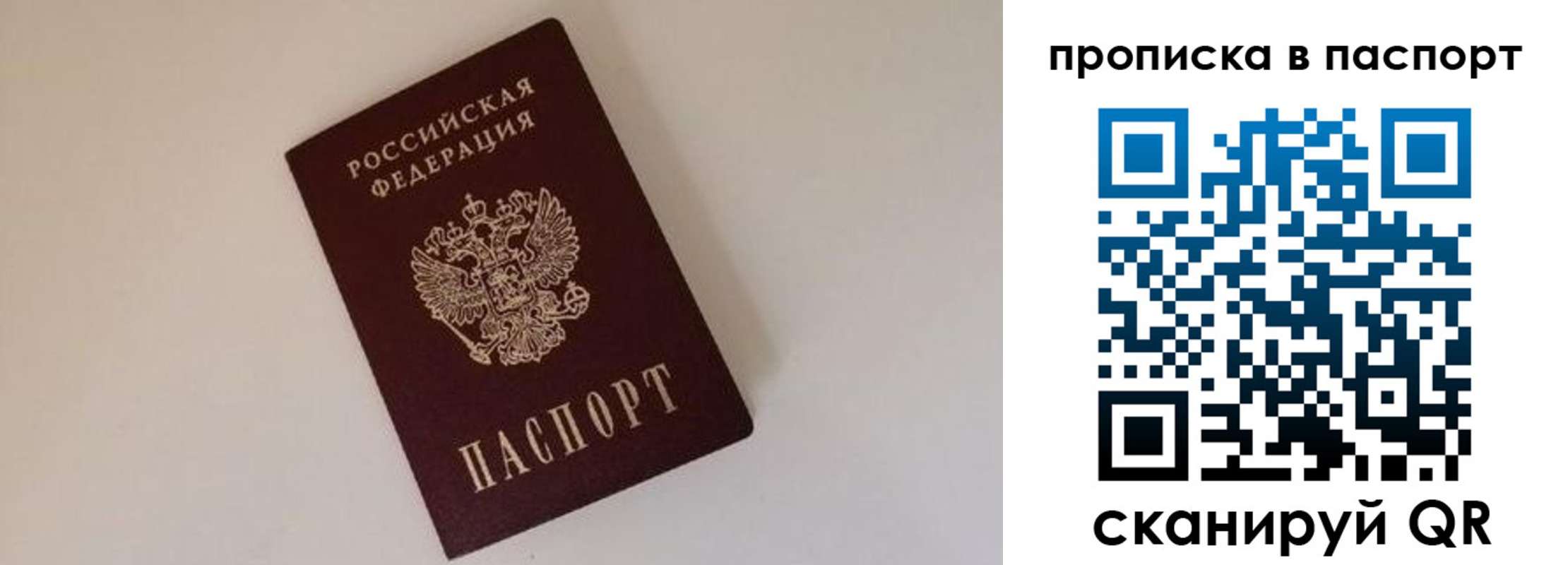 прописка регистрация в Амурской области